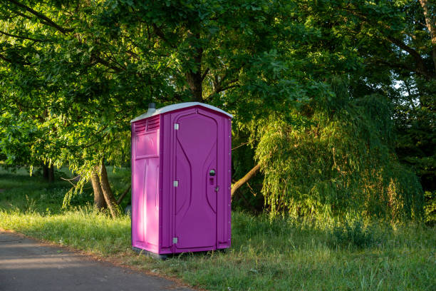 Best Affordable porta potty rental  in Roanoke, IL